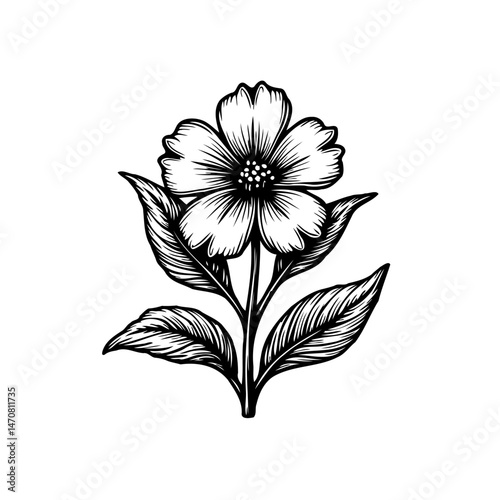 Elegant botanical sketch of a blossoming flower in intricate detail on white backdrop