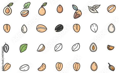 Nuts and Seeds Assortment Icons Collection With Shells and Leaves Isolated on White
