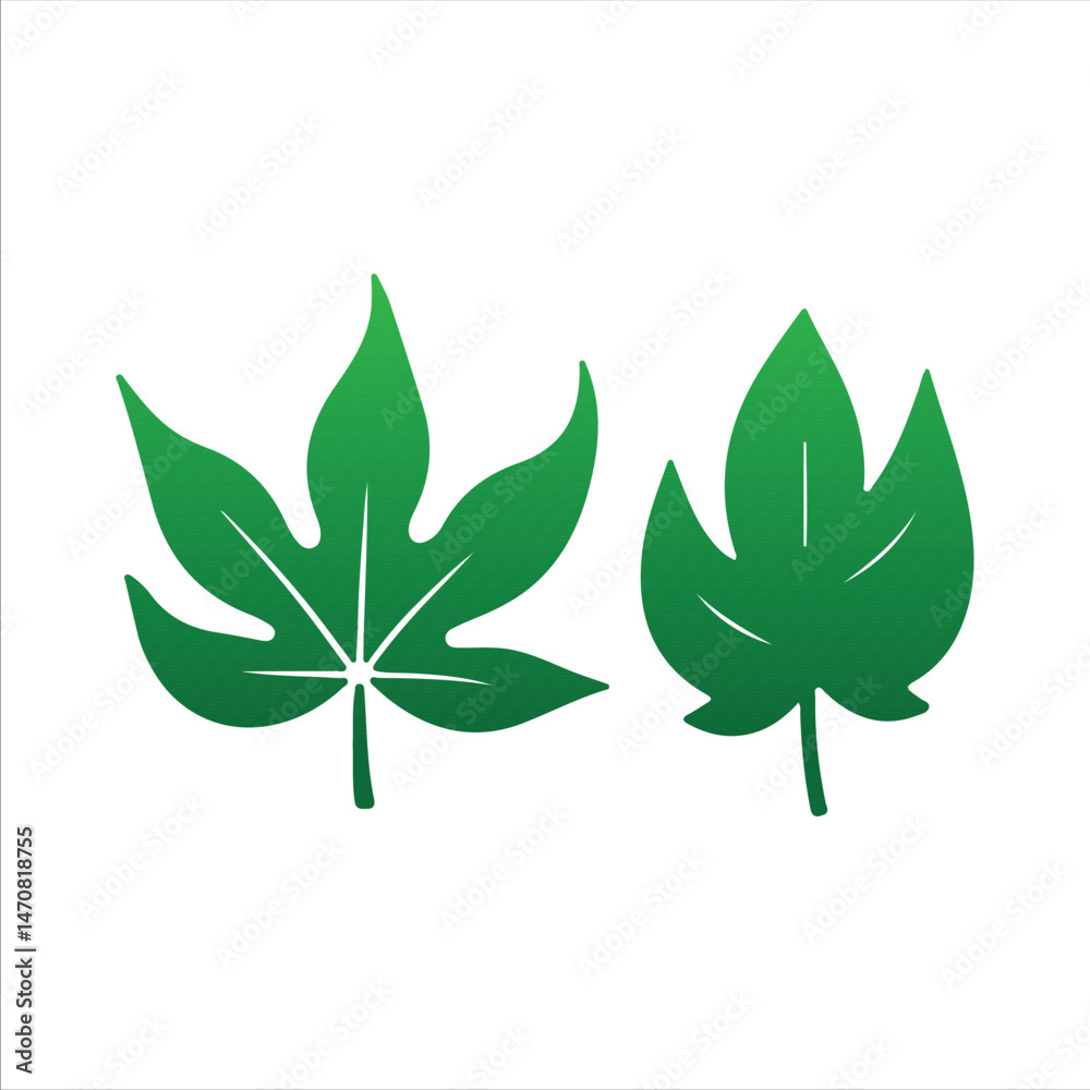 Natural Leaf Elements from the Tropics Natural Leaf Elements from the Tropics