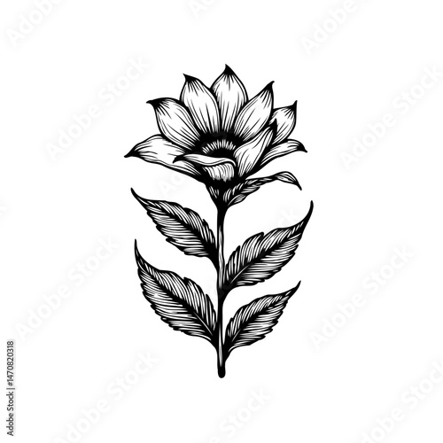 Intricate botanical illustration of a flower with detailed line work and shading