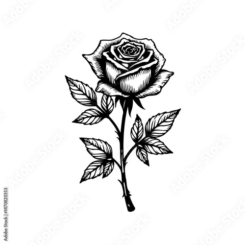 Elegant single rose blossom drawing, a floral masterpiece with intricate botanical details