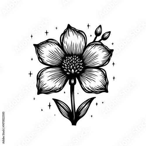 Monochrome botanical illustration of a blossoming flower with magical sparkles