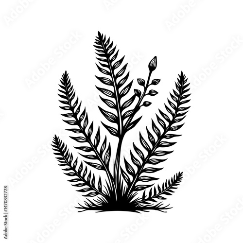 Elegant botanical illustration of ferns and flowering branch in monochrome style