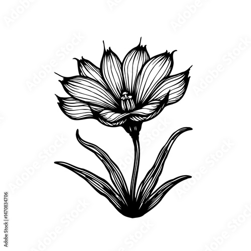 Elegant floral line art showcasing delicate petals and flowing leaves design