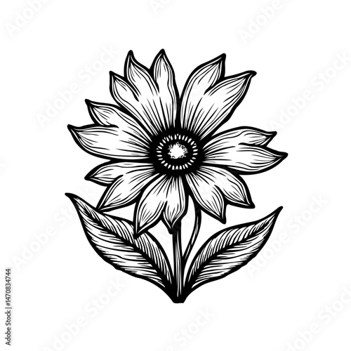 Detailed Floral Line Art: Elegant Black and White Flower Illustration