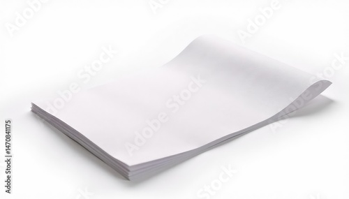 Close-up of ballot paper, isolated on white background, procedure, mark, authority