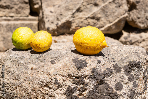 Citrus Fruit on Aged Stone. Three ripe lemons rest on a sunlit weathered stone in Zakynthos, Greece, against a rustic stone wall.