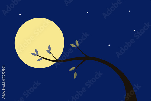 vector illustration of a moon and stars
