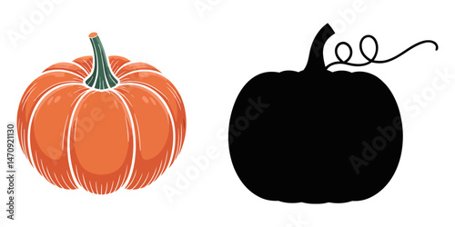 different shaped round pumkin flat design vector white background, Pumpkin, autumn vegetable. Ripe round crop, fall seasonal harvest for Halloween. Orange food, October eating, natural healthy squash