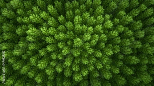Vibrant green abstract design, close-up of lush foliage forming a textured background, perfect for nature-themed projects.