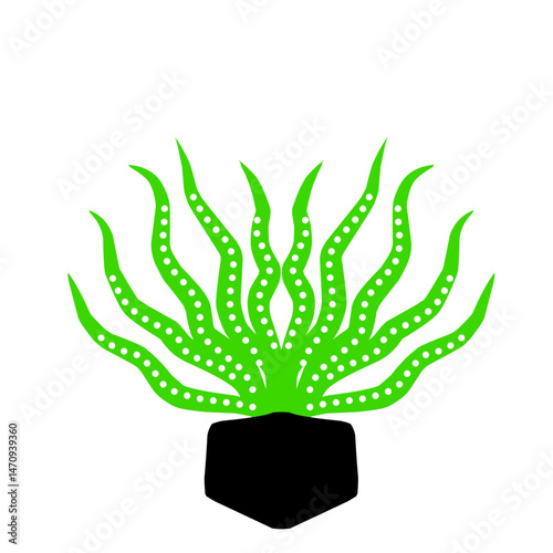 Vibrant green seaweed illustration with swirling tendrils against a white background, ideal for marine themes