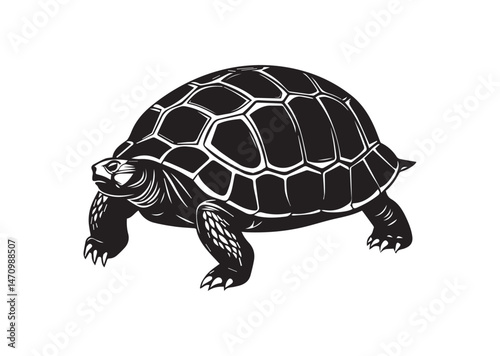 Tortoise Silhouette Vector