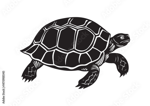 Tortoise Silhouette Vector
