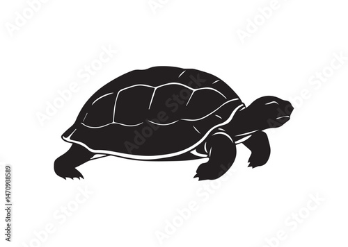 Tortoise Silhouette Vector