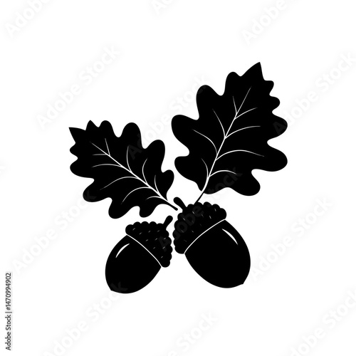 acorns and oak leaves silhouette on white 