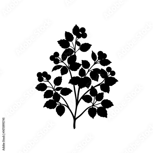 berry bush silhouette on white background  .svg
