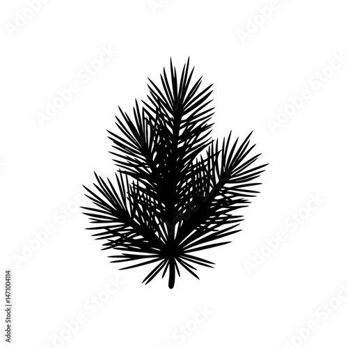 fresh pine needles silhouette on white background  