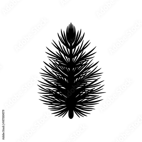fresh pine needles silhouette on white background .svg
