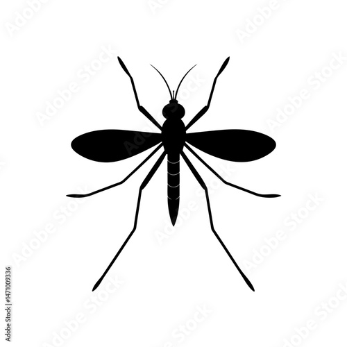 mosquito silhouette on white background  