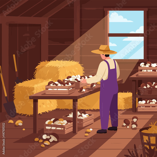 Farmer Harvesting Mushrooms Inside Barn with Hay and Natural Light