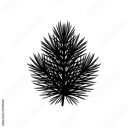 pine needles silhouette on white background  .svg