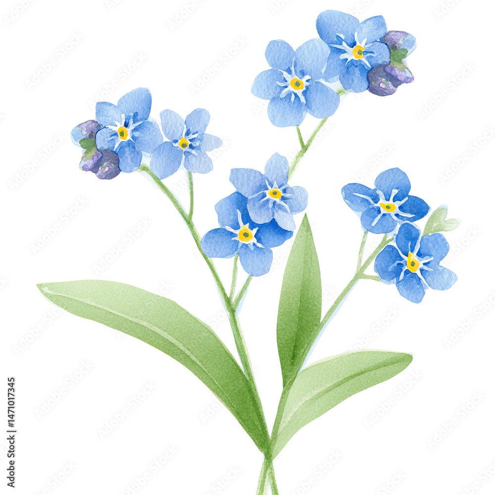 Naklejka premium Forget-me-not flowers, delicate blue blossoms, elegant floral arrangement