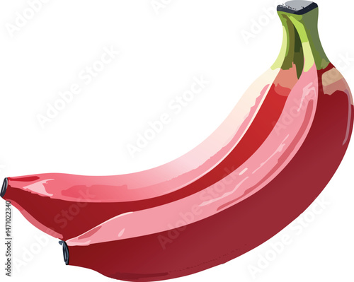 Red Banana isolated on a transparent or white background, vector illustration
