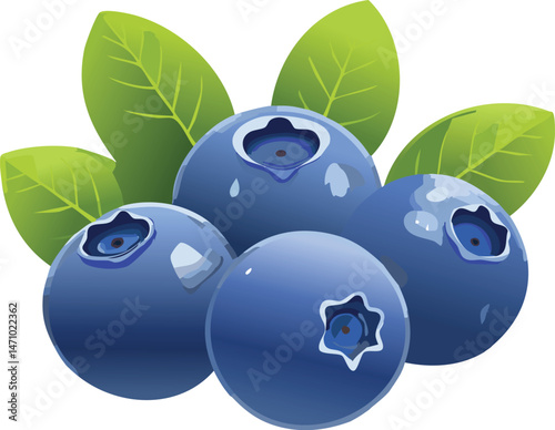 Bilberry isolated on a transparent or white background, vector illustration