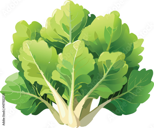 Orach isolated on a transparent or white background, vector illustration