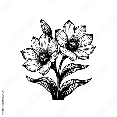 Elegant monochrome flower illustration featuring delicate petals and intricate line work