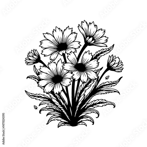 Botanical Arrangement: Elegant Daisies Ink Drawing for Graphic Design Projects