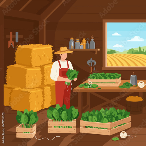 Farmer Harvests Spinach in Barn with Countryside View and Hay