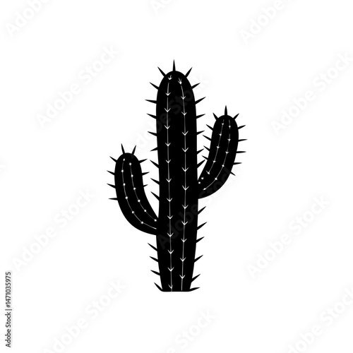 wild cactus silhouette on white background
