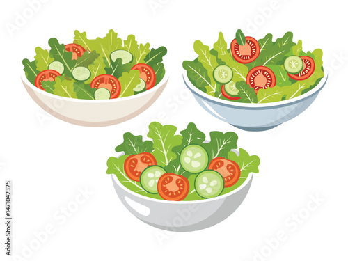 vector illustration of a Garden Salad (Fresh Mixed Greens, Tomato, and Cucumber)