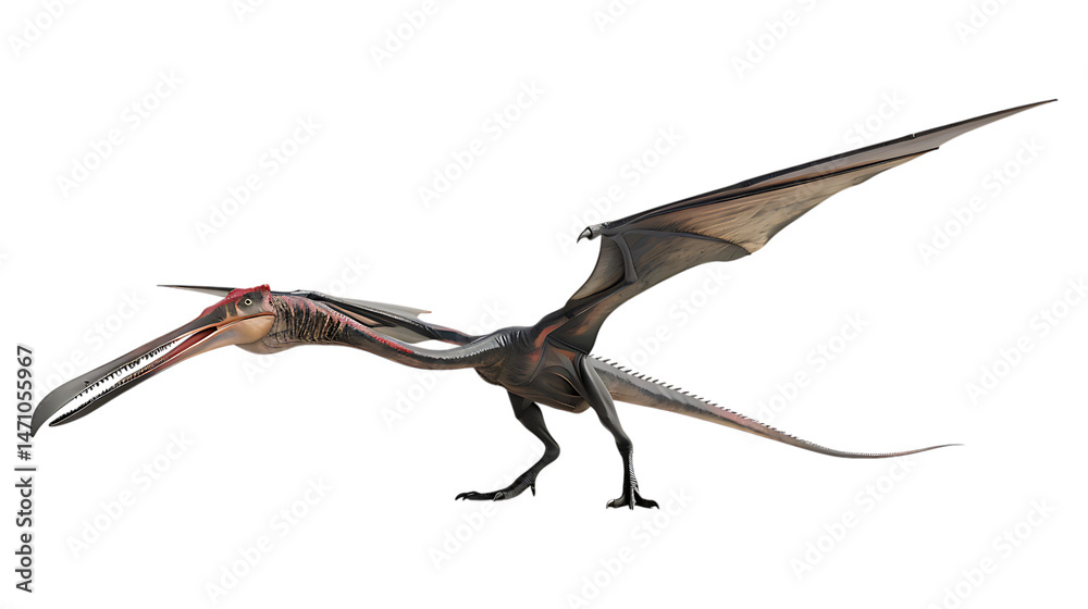 Obraz premium A pteranodon with a transparent background.