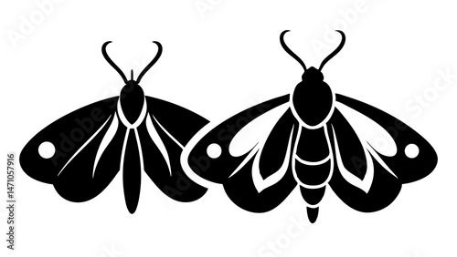 moth icon design, black silhouette vector illustration isolated on white background