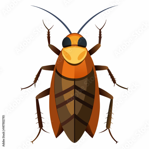 cockroach isolated on white background