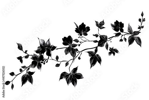 Monochrome Floral Branch Elegant Black Flowers and Leaves Ink on White