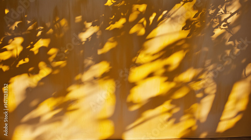background with leaf shadows