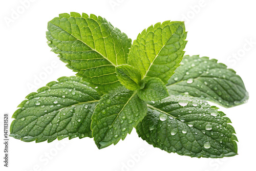 Fresh peppermint leaves, a healthy green herb, are isolated on a white background, showcasing their natural aroma and freshness