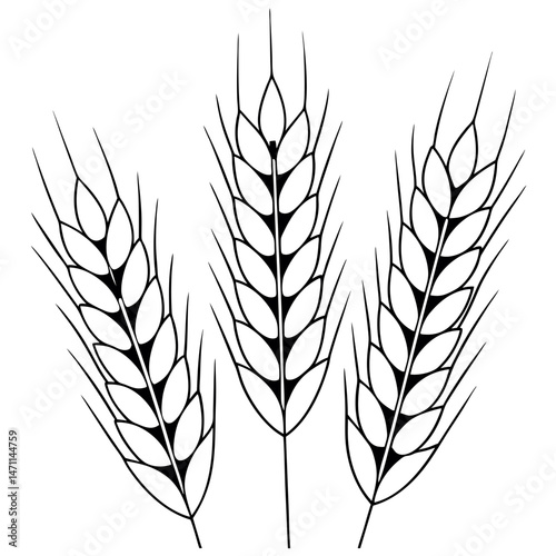 Wheat Stalks Silhouette Vector , Bold Black and Outline Agricultural Design