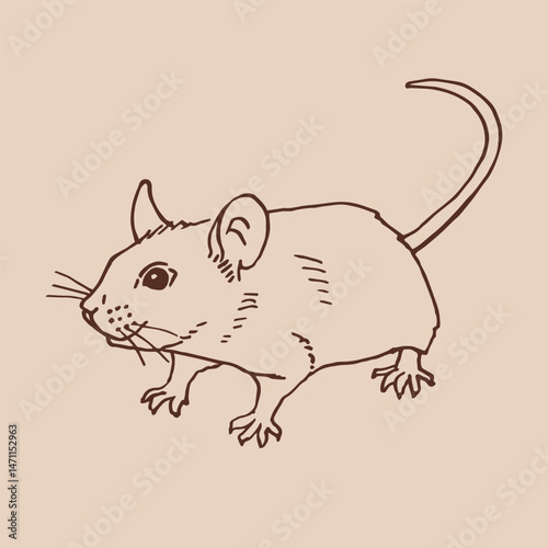 Mouse. Hand drawn vector illustration.