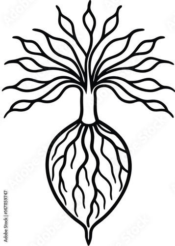 Botanical Root Structure on White Background