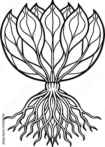 Botanical Root Structure on White Background