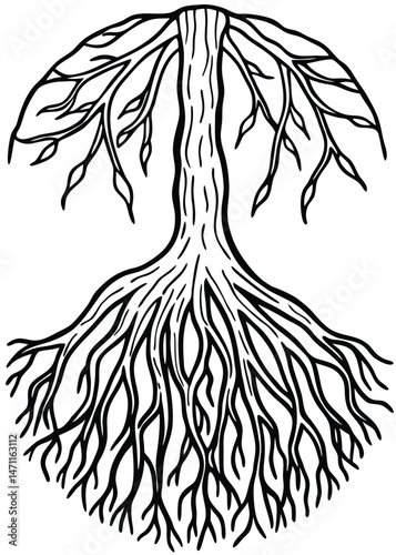 Hand Drawn Tree Roots Icon on White Background