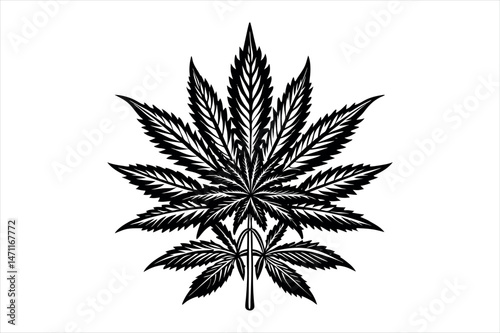 Weed Silhouette, Vector, Illustration, Line Art