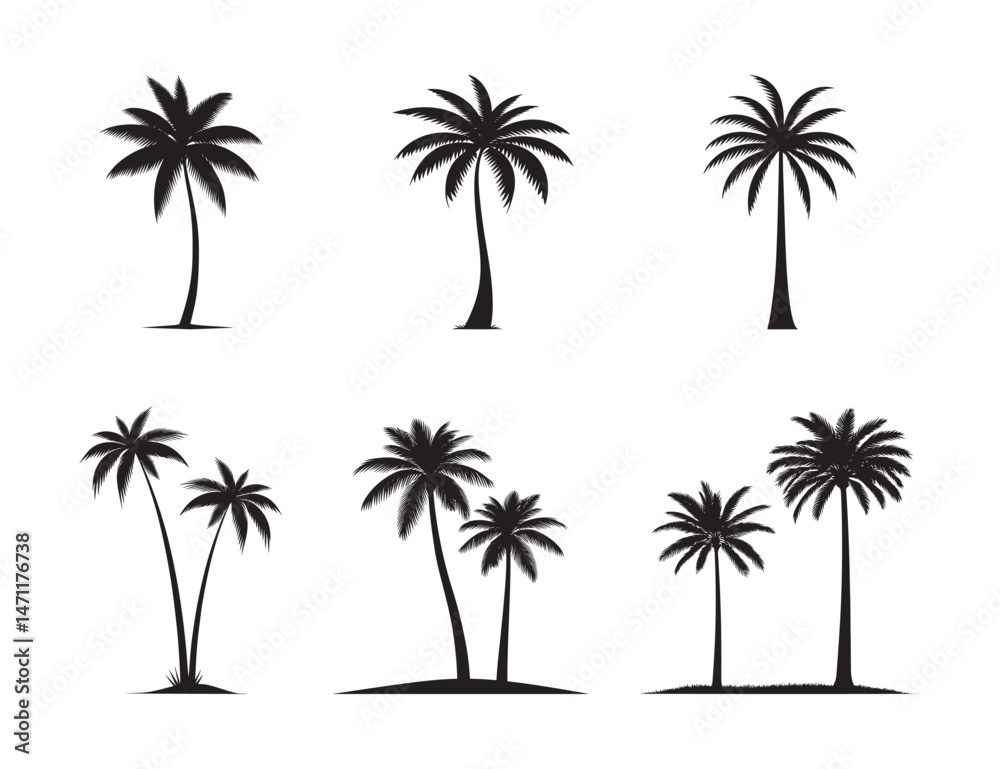 Fototapeta premium Palm Tree Silhouette Collection – Tropical Tree Vector Set