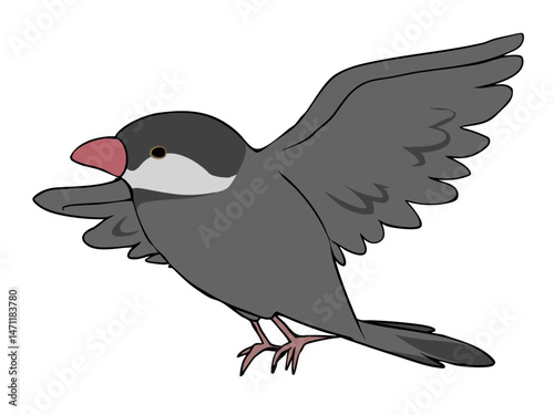 色とりどり 文鳥 飛ぶ