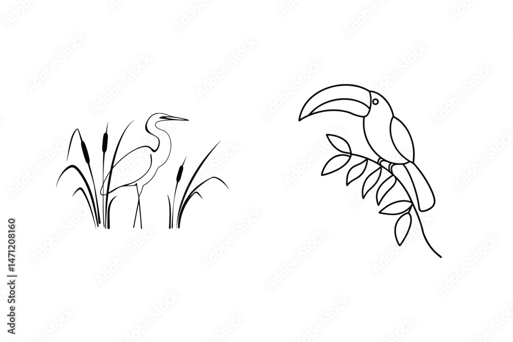 Fototapeta premium Minimalist black and white illustrations featuring a heron in reeds and a toucan on a branch