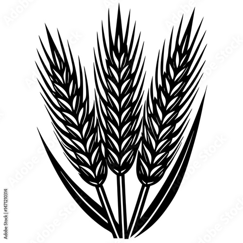 Wheat Silhouette Vector , Bold Black and White Wheat Ears Illustration